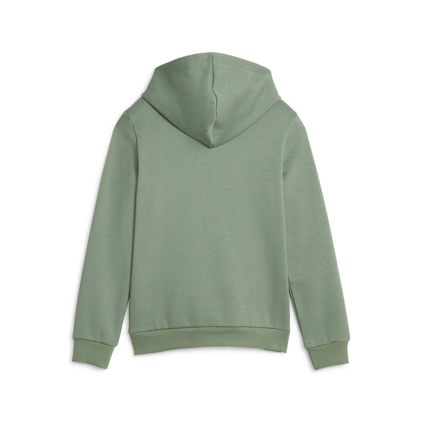 Puma felpa con cappuccio da ragazzo Block 849081-44 eucalipto