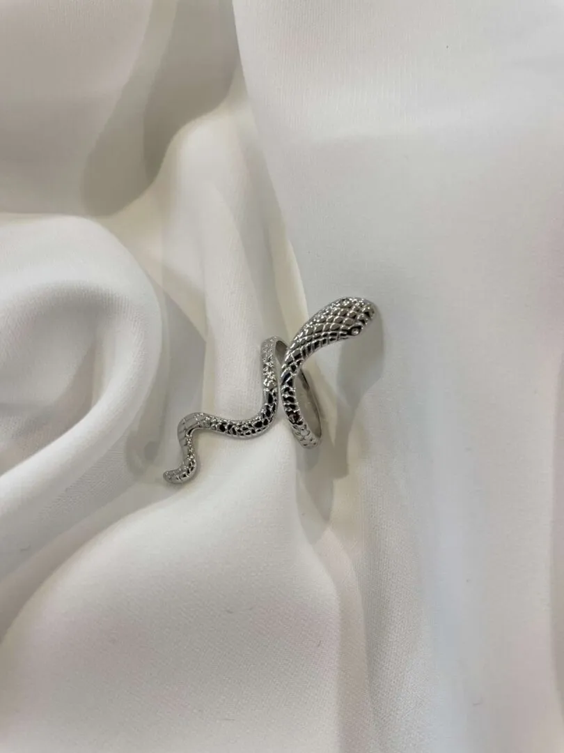 Snake Steel Ring